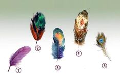 La pluma que elijas te permitirá saber quién eres en realidad