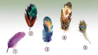 La pluma que elijas te permitirá saber quién eres en realidad
