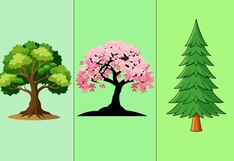 El árbol que elijas te mostrará la el camino a seguir para lograr tus metas