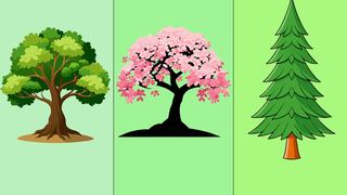 El árbol que elijas te mostrará la el camino a seguir para lograr tus metas