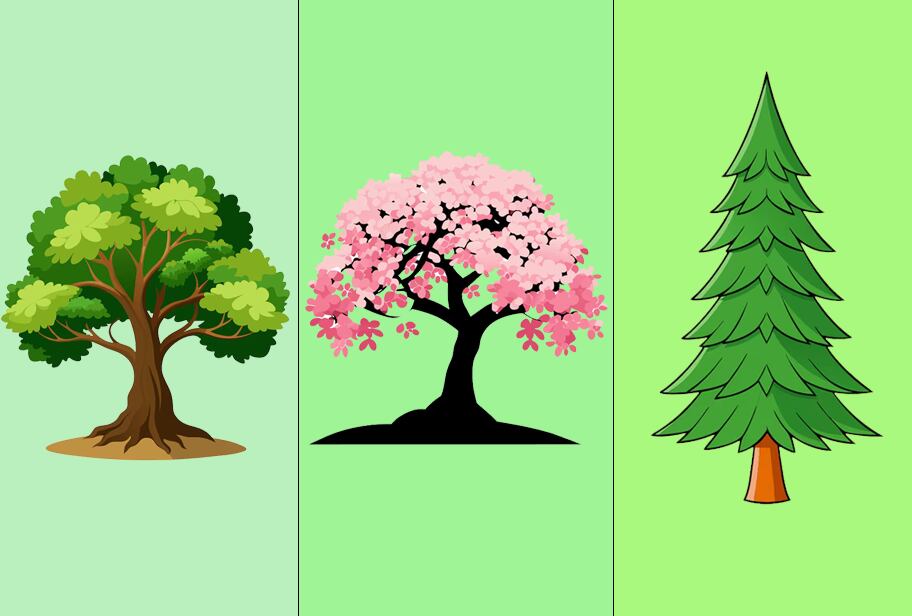 Elige un árbol y descubrirás la ruta que debes tomar para alcanzar tus objetivos (Foto: Depor)