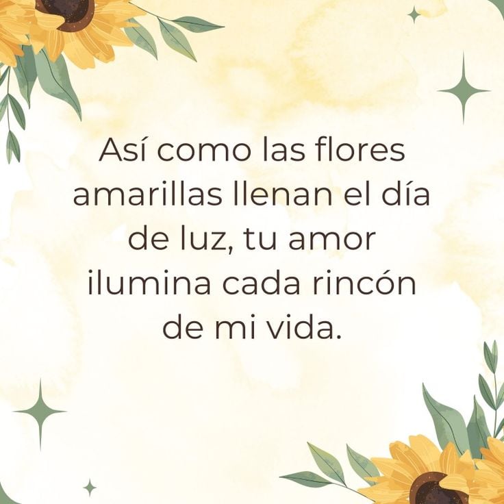 Imágenes de flores amarillas para compartir este 21 de marzo en redes sociales (Foto: Pinterest).