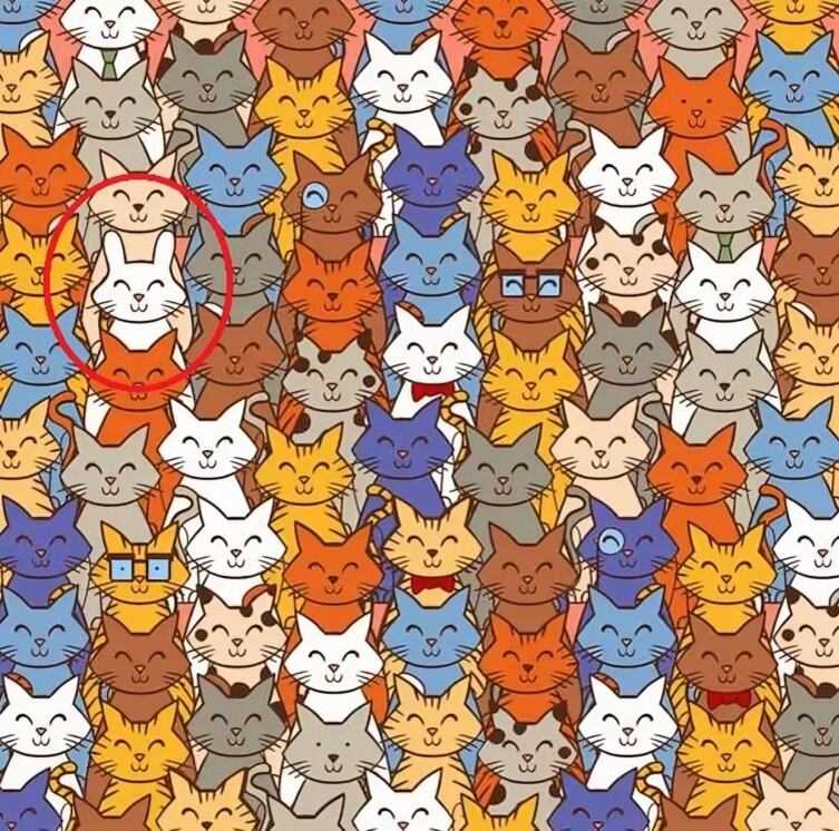 Desafío visual: ¿lograrás descubrir al conejo oculto entre las zanahorias en menos de 7 segundos? (Foto: Depor)