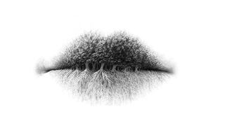 Test visual revelador: descubre detalles ocultos de tu personalidad ¿viste árboles, raíces o labios?