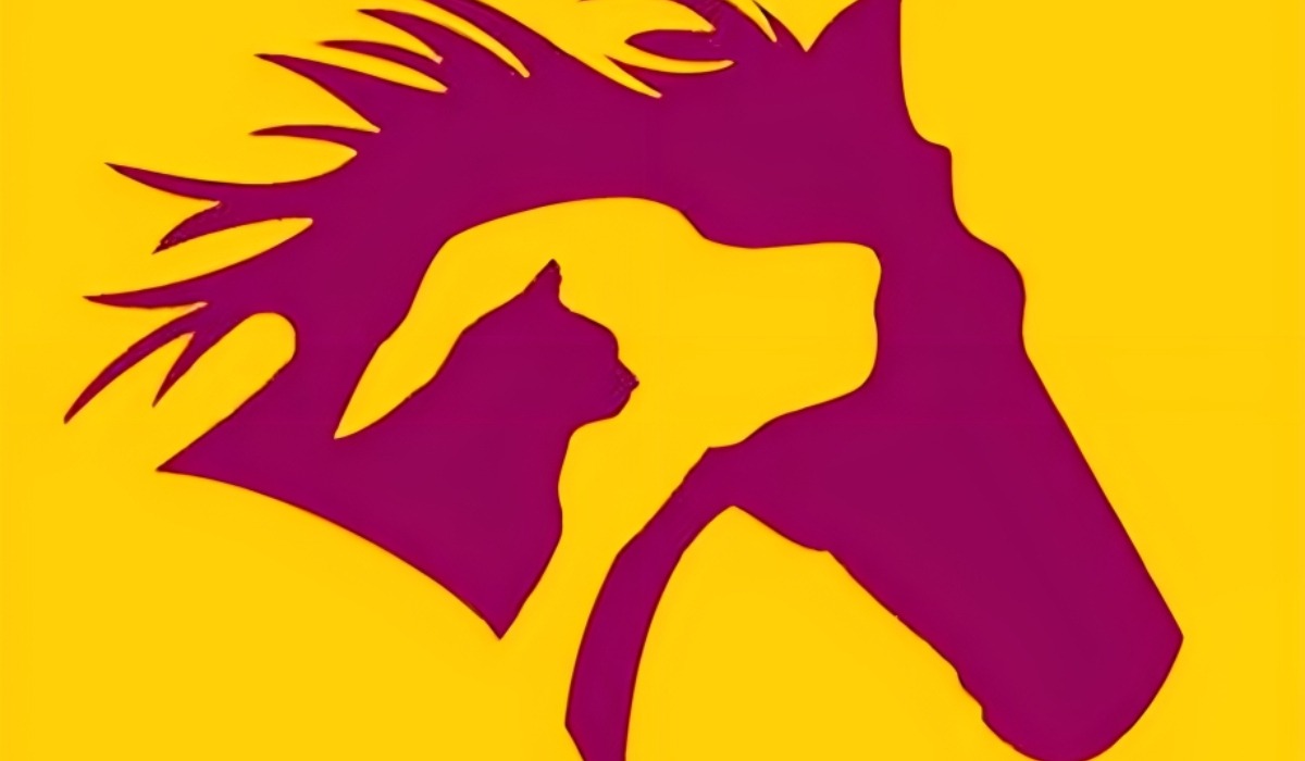 Test visual: descubre cómo eres en esta imagen según veas un perro, un caballo o un gato (Foto: GenialGuru).