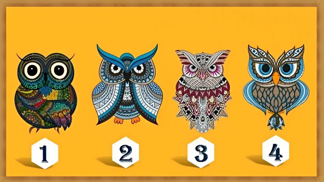 Elegir uno de los búhos en esta imagen te hará descubrir por qué eres especial (Foto: GenialGuru).
