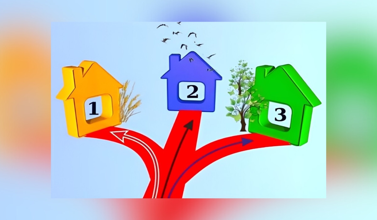 Test visual: descubre qué necesitas en tu vida ahora con solo elegir uno de los tres caminos (Foto: GenialGuru).