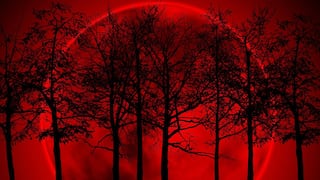 What time is the total lunar eclipse tonight?