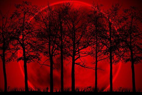 What time is the total lunar eclipse tonight?