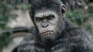 Sinopsis, fecha de estreno y más sobre “Kingdom of the Planet of the Apes”, la nueva película de “El planeta de los simios”