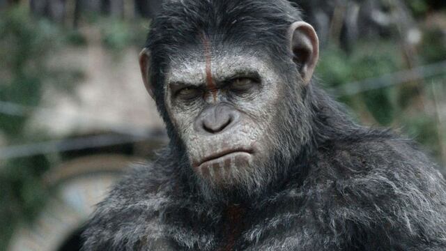 Sinopsis, fecha de estreno y más sobre “Kingdom of the Planet of the Apes”, la nueva película de “El planeta de los simios”