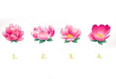 Elige una flor para revelar tu camino hacia tu paz interior