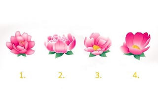 Elige una flor para revelar tu camino hacia tu paz interior