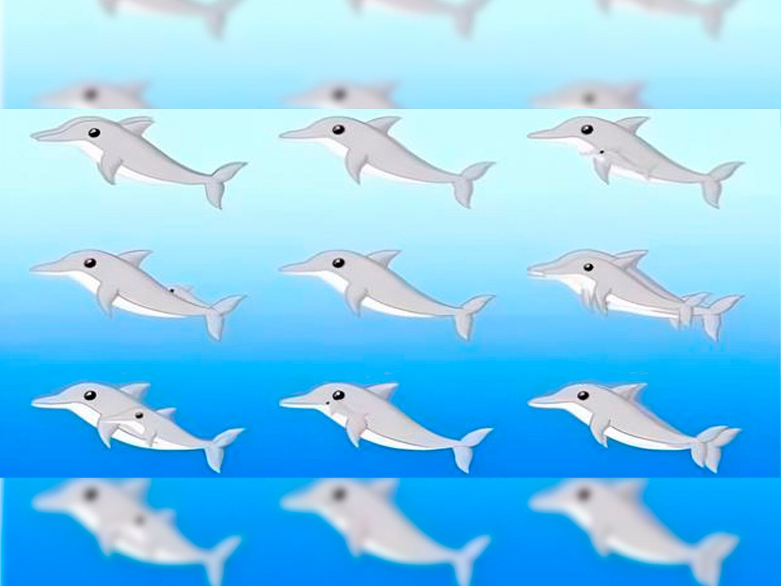 No tengas miedo al desarrollar este test visual. Solo indica cuántos delfines ves y conocerás los resultados.| Foto: Genial.guru