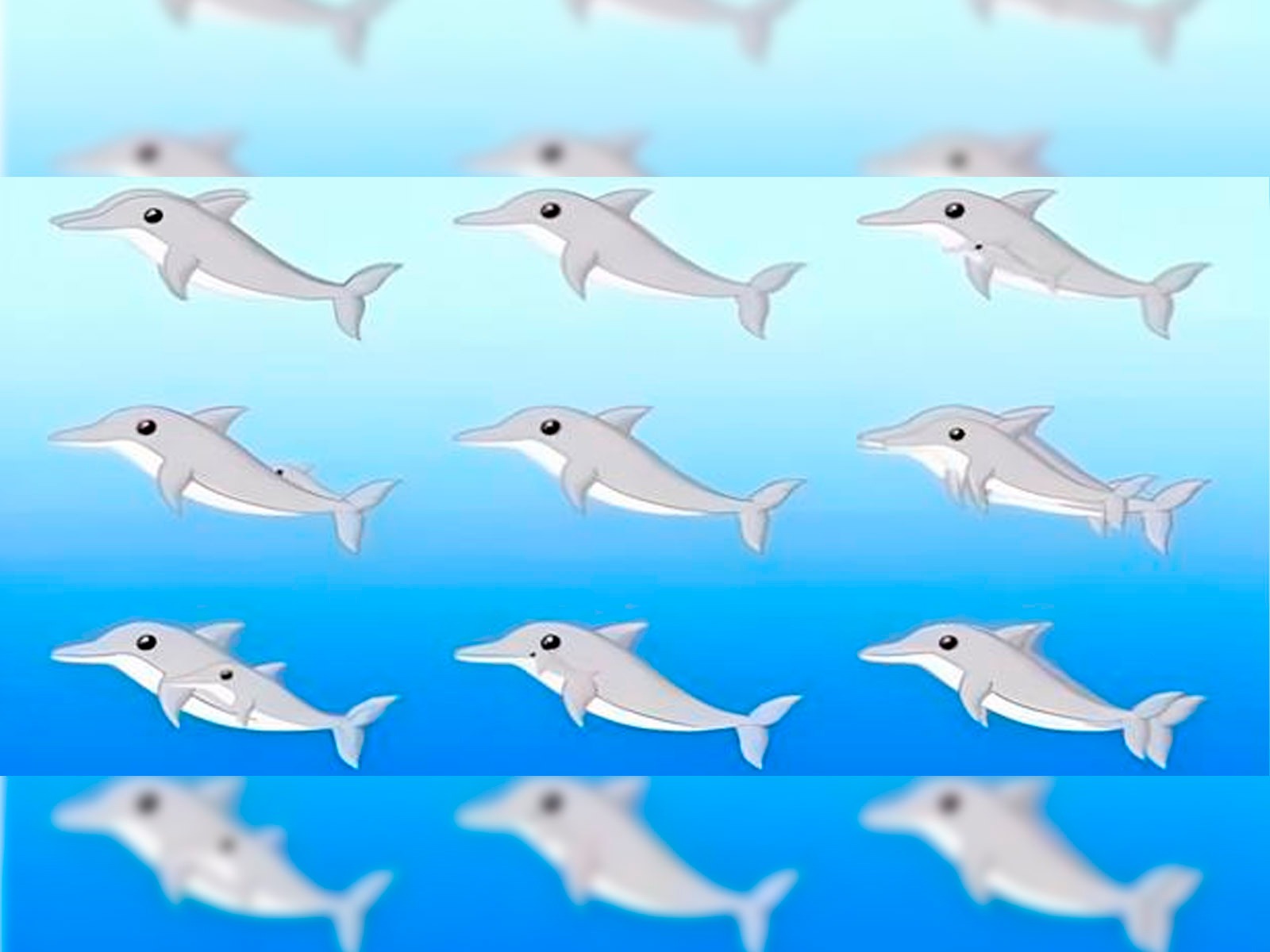 No tengas miedo al desarrollar este test visual. Solo indica cuántos delfines ves y conocerás los resultados.| Foto: Genial.guru