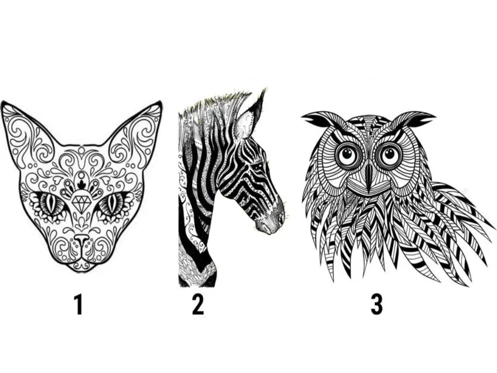 TEST VISUAL | Mira con atención y selecciona el animal que más te agrade. (Foto: Namastest)