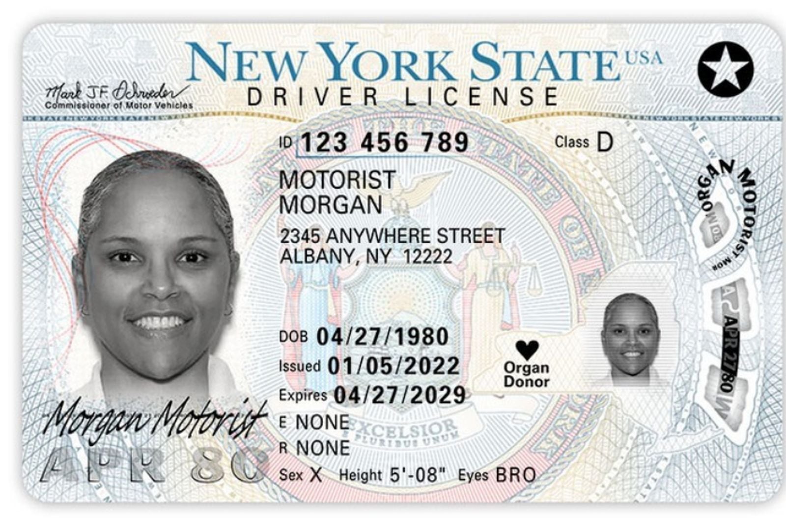El estado de Nueva York permite a todos los residentes obtener la licencia de conducir emitida por el Departamento de Vehículos Motorizados (Foto: DMV )