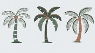 Escoge una de las palmeras para descubrir qué hemisferio cerebral domina tu ser