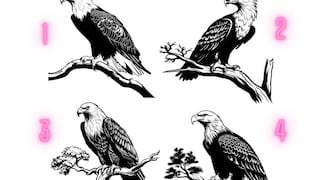 ¿Cuál águila escoges? Elige uno para acceder a un mensaje especial