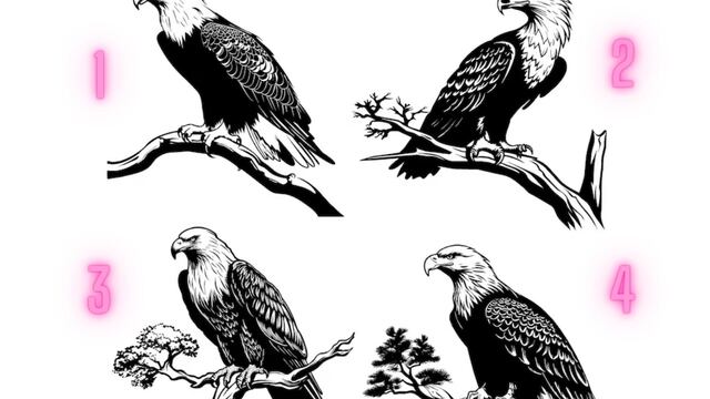 ¿Cuál águila escoges? Elige uno y accederás a un mensaje especial