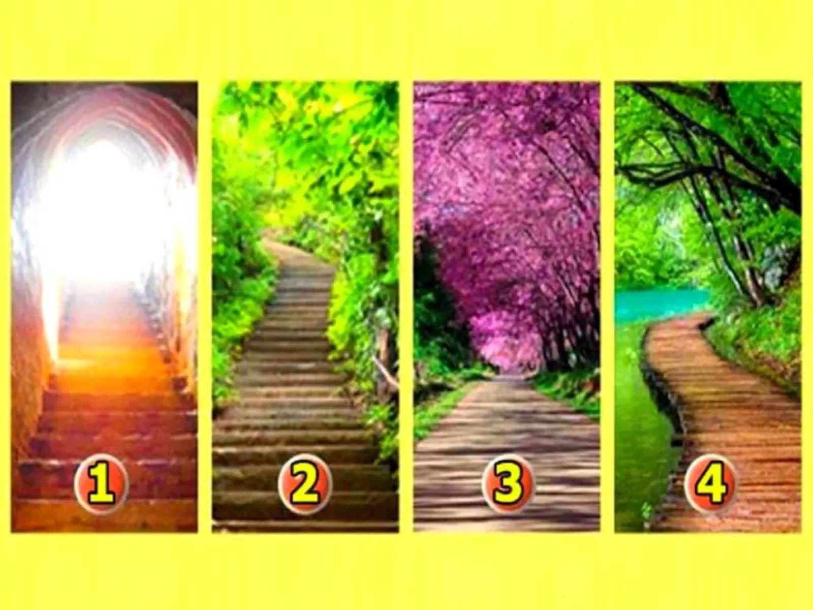 TEST VISUAL | En esta imagen hay muchos caminos. Tienes que elegir uno. (Foto: namastest.net)