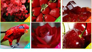 ¿Qué dice tu atracción por el color rojo en la naturaleza sobre ti?