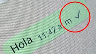 Conoce si te bloquearon: te digo qué significa un solo check gris en WhatsApp