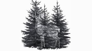 Conoce si eres una persona bondadosa según qué observas primero en esta imagen