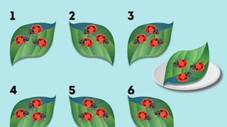 Desafío de inteligencia: encuentra las hojas idénticas en 15 segundos