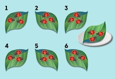 Desafío de inteligencia: encuentra las hojas idénticas en 15 segundos
