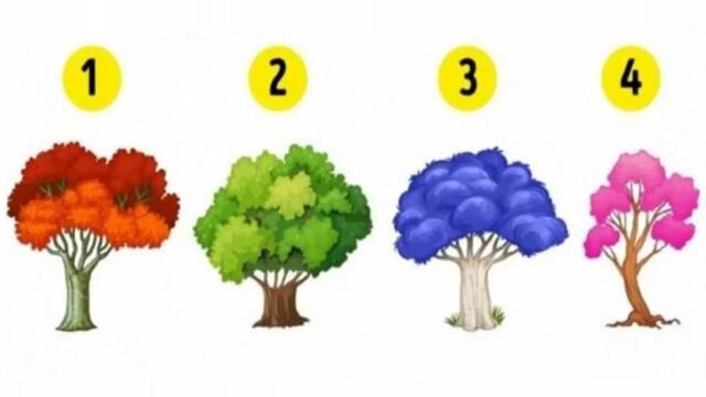 Podrás recibir información sobre tu personalidad si escoges un árbol