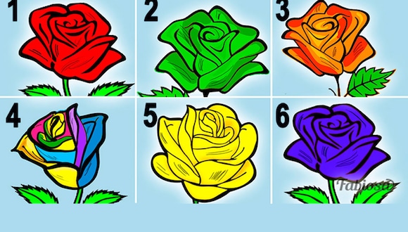 TEST VISUAL | Sumérgete en un análisis intrigante que revela aspectos de tu personalidad basados en tus preferencias florales. | fabiosa
