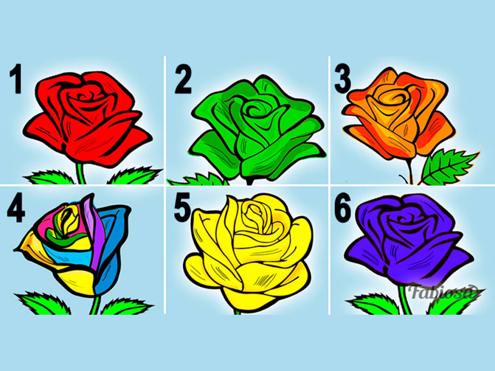 TEST VISUAL | Sumérgete en un análisis intrigante que revela aspectos de tu personalidad basados en tus preferencias florales. | fabiosa