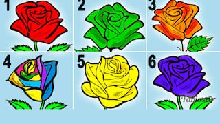 ¿Cuál es la rosa más bella? Descubre la conexión entre tus preferencias y tu personalidad