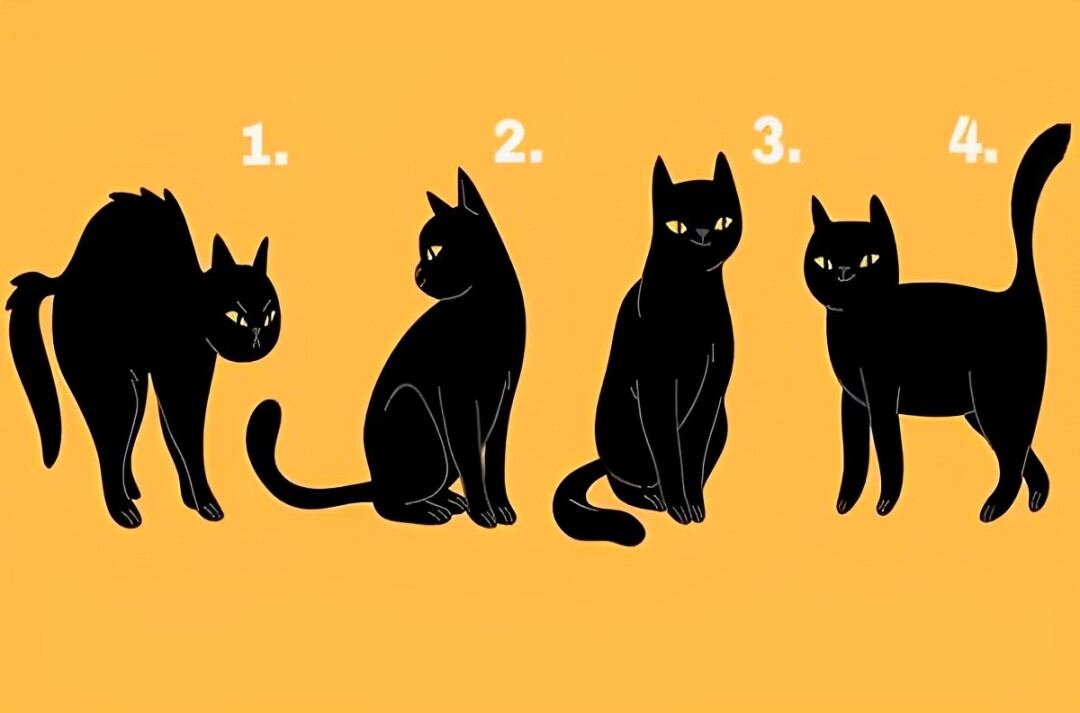 Elige uno de los gatos en esta ilustración para descubrir cómo te ven las personas (Foto: GenialGuru).