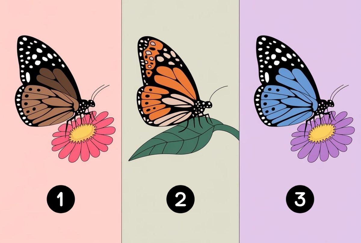 Elige una de las mariposas en la imagen para conocer cómo te recuerdan tus amigos (Foto: Depor).