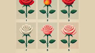 Selecciona una rosa y sorpréndete con lo que revela tu interior