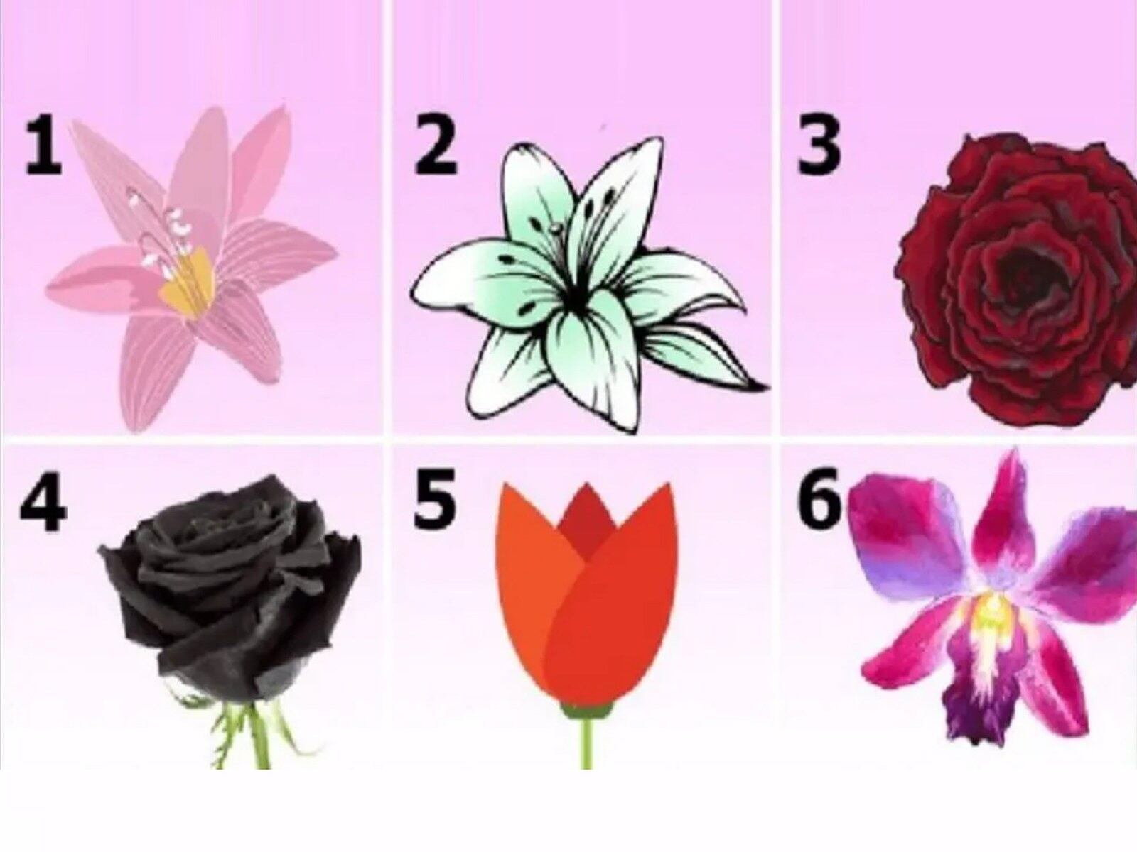 TEST VISUAL | Esta imagen te muestra seis flores diferentes. Responde cuál es la que más te gusta. (Foto: namastest.net)