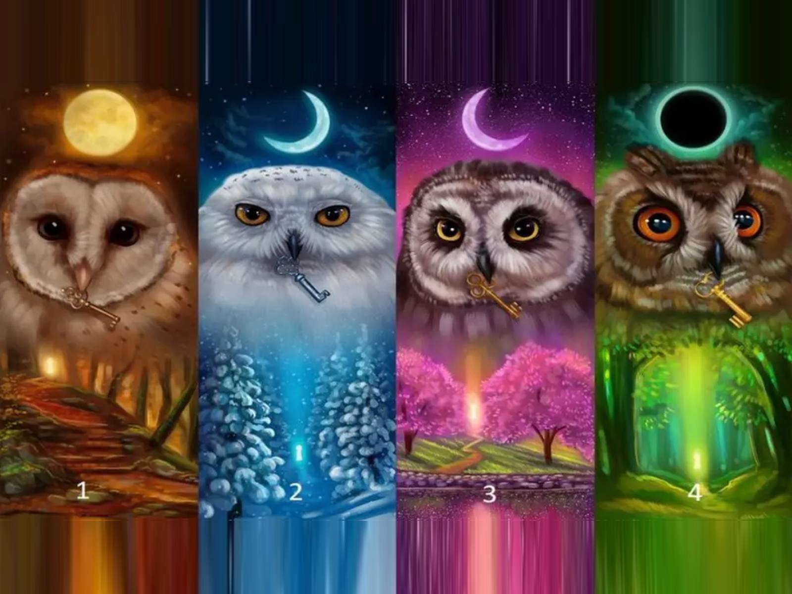 TEST VISUAL | En esta imagen se aprecian varios búhos. Tienes que elegir uno. (Foto: namastest.net)