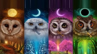 Tienes que elegir un búho para que descubras cómo eres en realidad