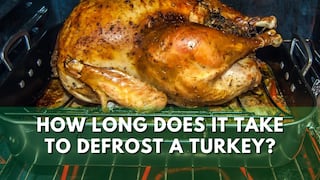 Thanksgiving 2024: How long does it take to thaw a turkey?