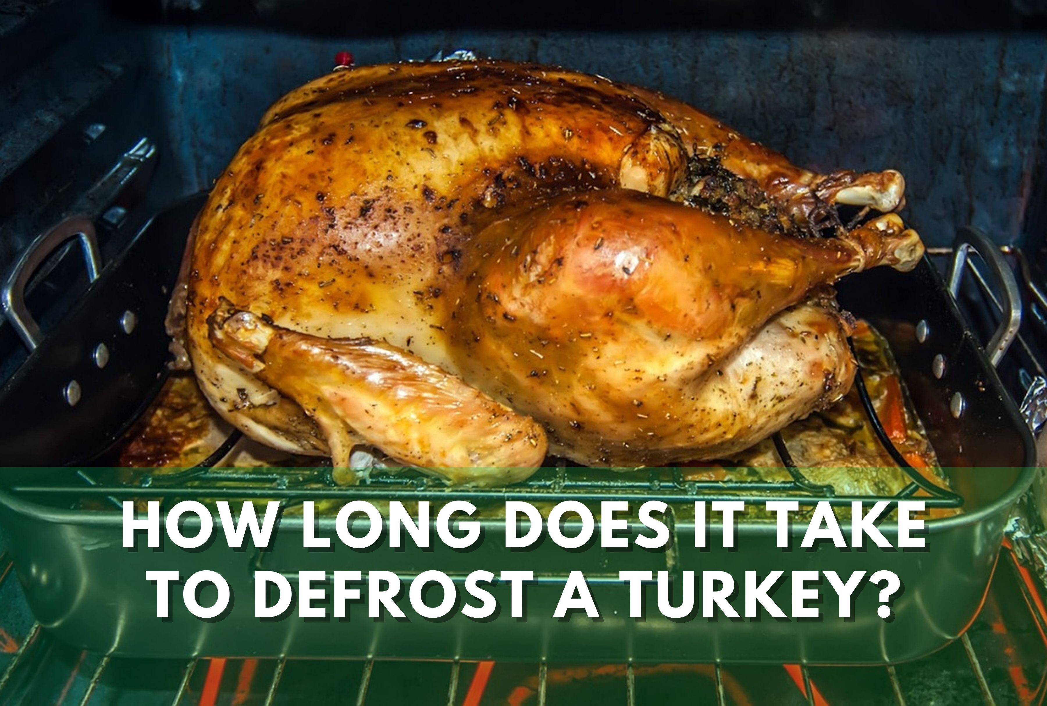 Planning your Thanksgiving feast? Don't forget to factor in defrost time! Here's a handy guide to help you thaw your turkey safely and efficiently. | Image by PublicDomainPictures on Pixabay