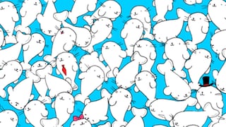 Reto viral: encuentra el marshmallow entre las focas en este desafío visual de las redes sociales