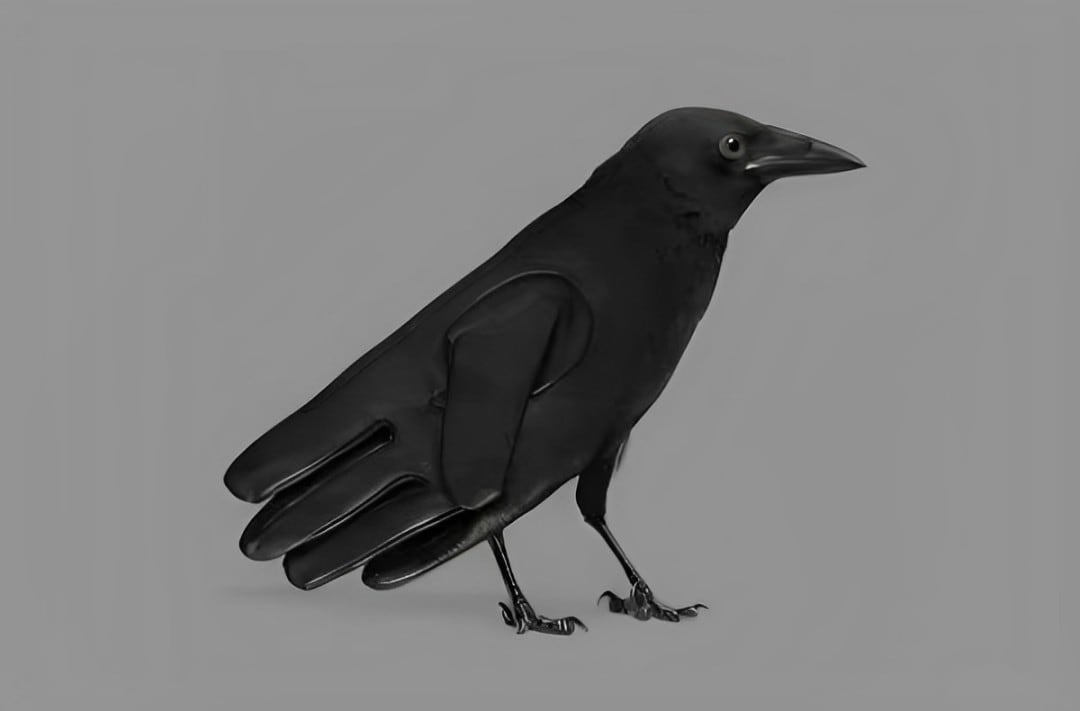 Test visual: descubre cuáles son tus fortalezas según veas un guante o un cuervo (Foto: GenialGuru).