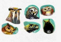 Elige un búho y descubre los secretos ocultos de tu personalidad