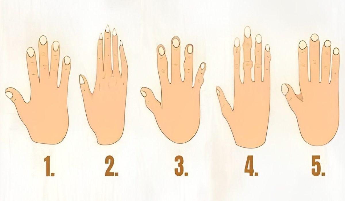 Test de personalidad: descubre si podrás cumplir tus objetivos de acuerdo a la forma de tu mano derecha (Foto: GenialGuru).