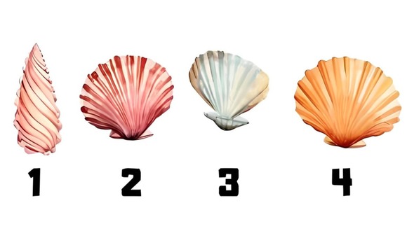 Test visual: elige una concha de mar en esta imagen para conocer tus rasgos más sobresalientes (Foto: Namastest).