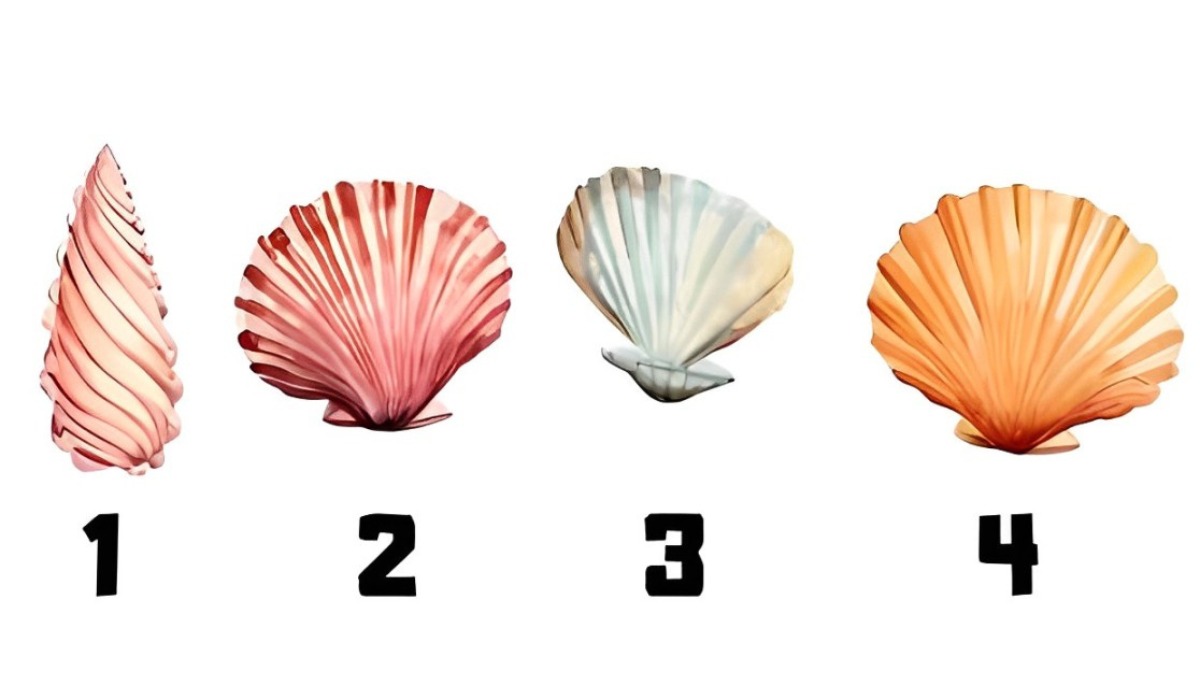 Test visual: elige una concha de mar en esta imagen para conocer tus rasgos más sobresalientes (Foto: Namastest).