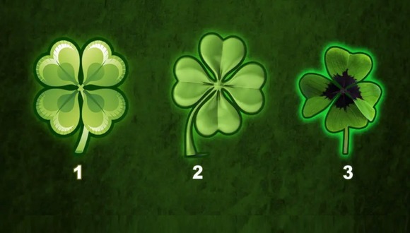 TEST VISUAL | En esta imagen hay tres tréboles de cuatro hojas. (Foto: namastest.net)