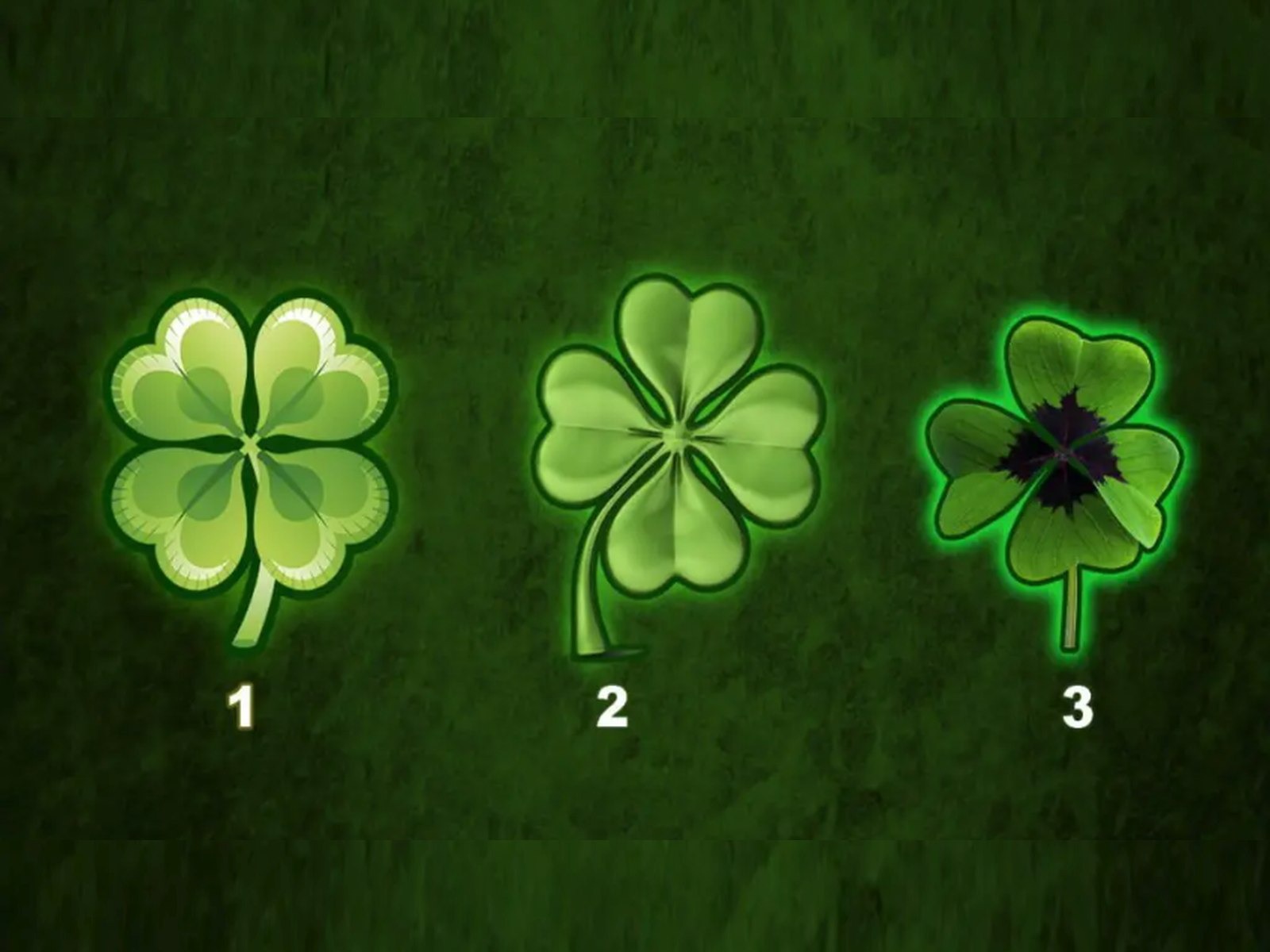 TEST VISUAL | En esta imagen hay tres tréboles de cuatro hojas. (Foto: namastest.net)